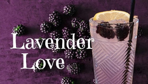 Lavender Love Cocktail